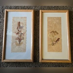 Pressed Flowers Art Handmade From Bavaria Signed Vintage Framed  11x7 Inch 2 Pcs